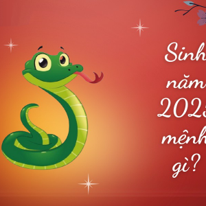 sinh-nam-2025-menh-gi