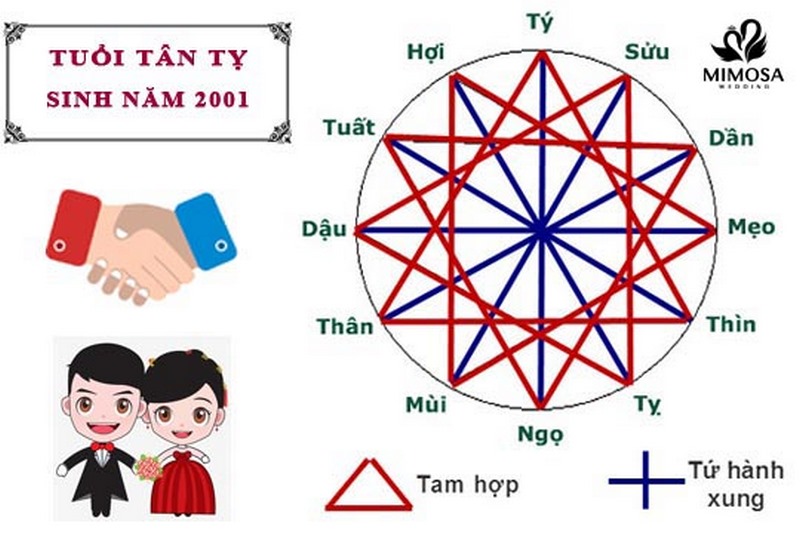 sinh-nam-2001-hop-voi-tuoi-nao
